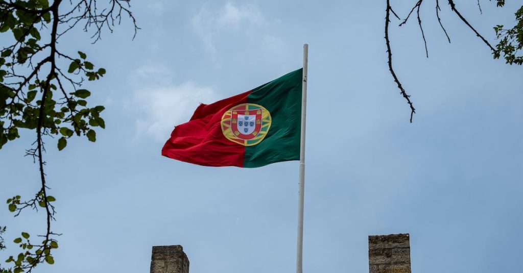 close-up-shot-of-portugal-flag